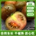 【寿光巧克力】铁皮巧克力番茄农家种植全国供应一件代发