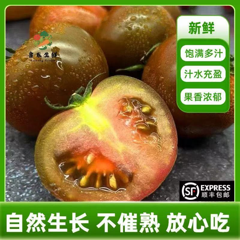 【寿光巧克力】铁皮巧克力番茄农家种植全国供应一件代发