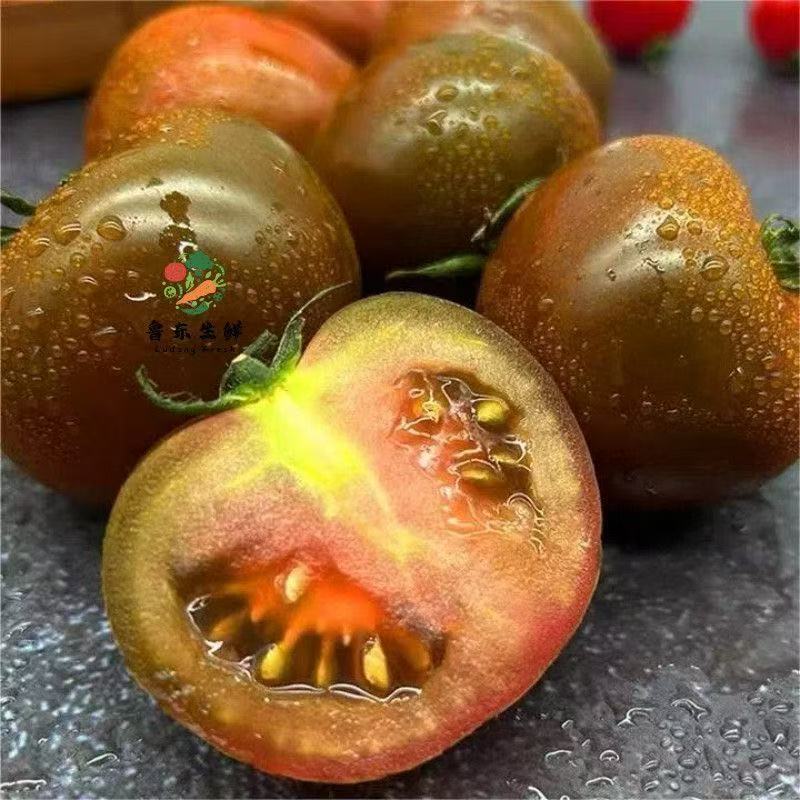 【寿光巧克力】铁皮巧克力番茄农家种植全国供应一件代发