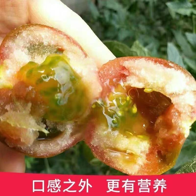 【寿光巧克力】铁皮巧克力番茄农家种植全国供应一件代发