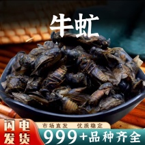 牛虻虫中药材批发抵挡汤原料安国中药材