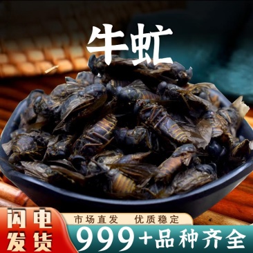 牛虻虫中药材批发抵挡汤原料安国中药材
