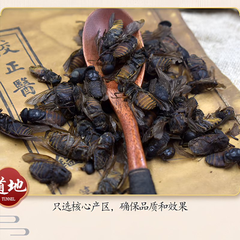 牛虻虫中药材批发抵挡汤原料安国中药材