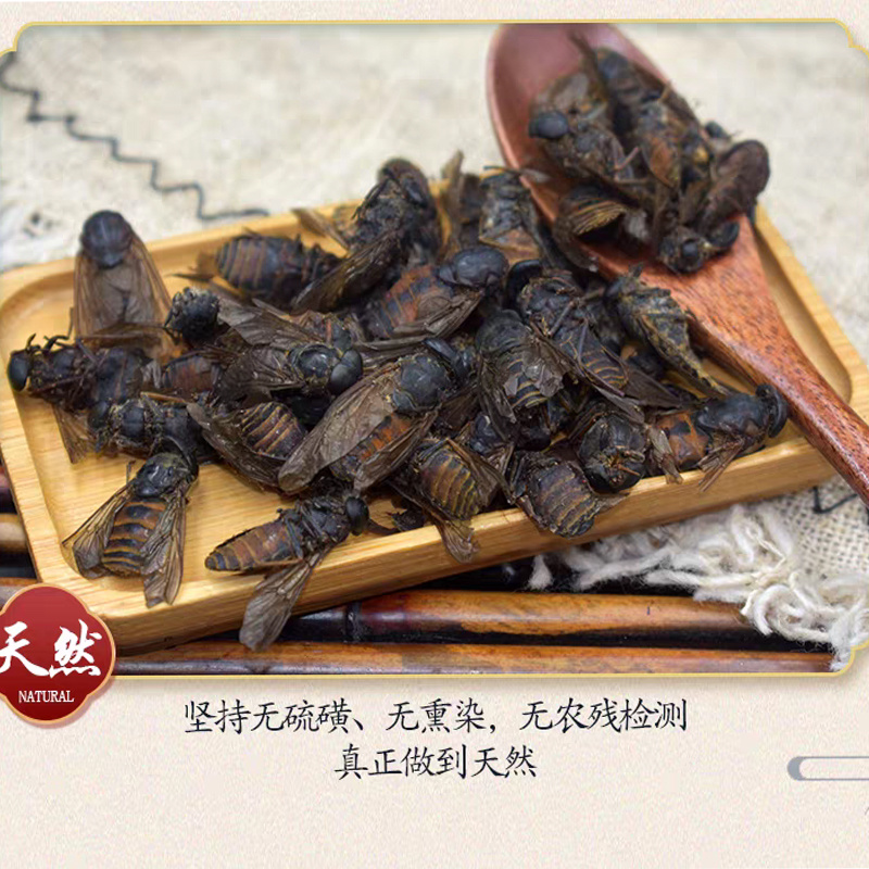 牛虻虫中药材批发抵挡汤原料安国中药材