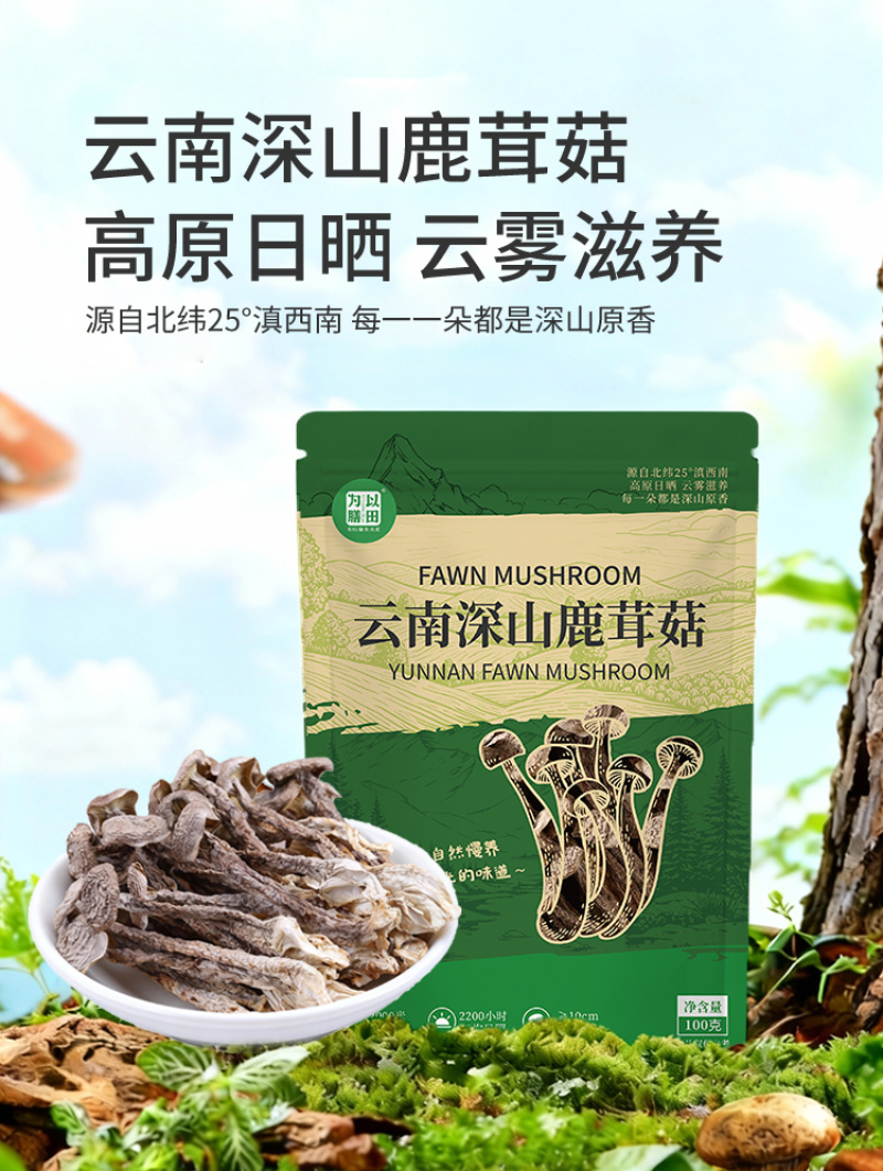 云南深山鹿茸菇精选干货代发批发