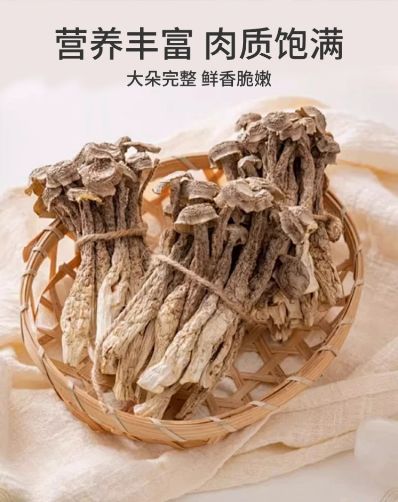 云南深山鹿茸菇精选干货代发批发