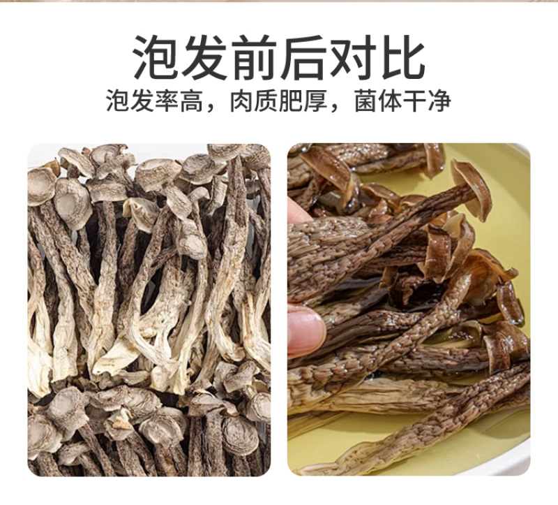 云南深山鹿茸菇精选干货代发批发