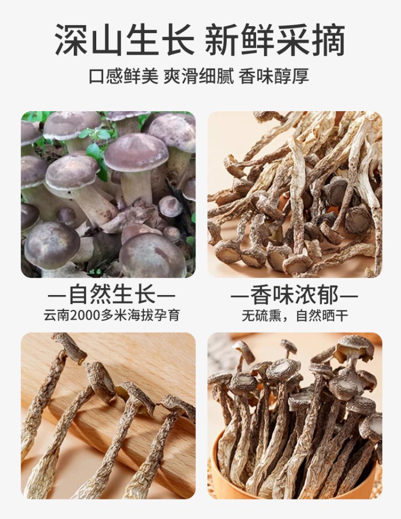 云南深山鹿茸菇精选干货代发批发