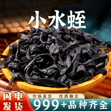 批发水蛭小水蛭医蛭抵挡汤原料安国中药材批发一手货源