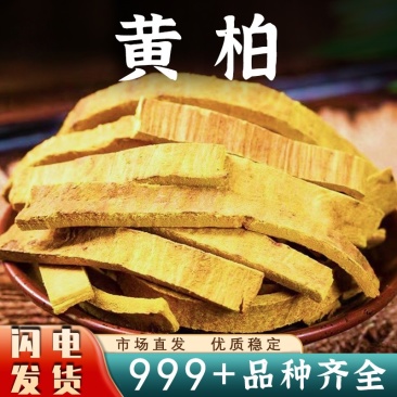 黄柏中药材批发正品黄柏皮黄柏粉带皮川黄柏去皮黄柏安国中药