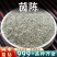 茵陈中药材批发棉茵陈新鲜绵茵陈茵陈草因陈非野生安国中药材