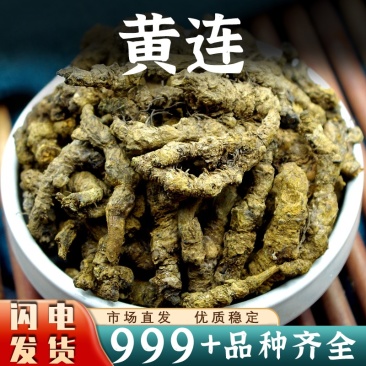 黄连中药材批发非野生黄莲四川黄莲连根片泡水喝茶安国中药材