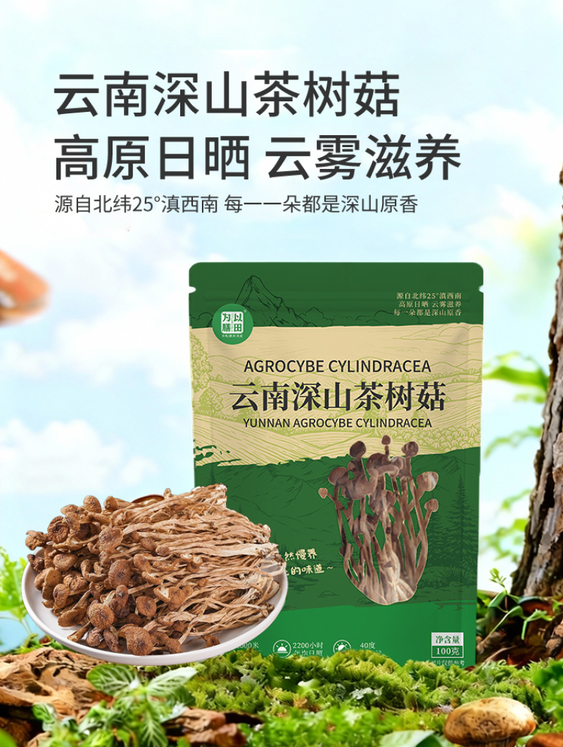 正宗云南茶树菇，茶树菇，精选干货，开伞剪根农家新菇批发代