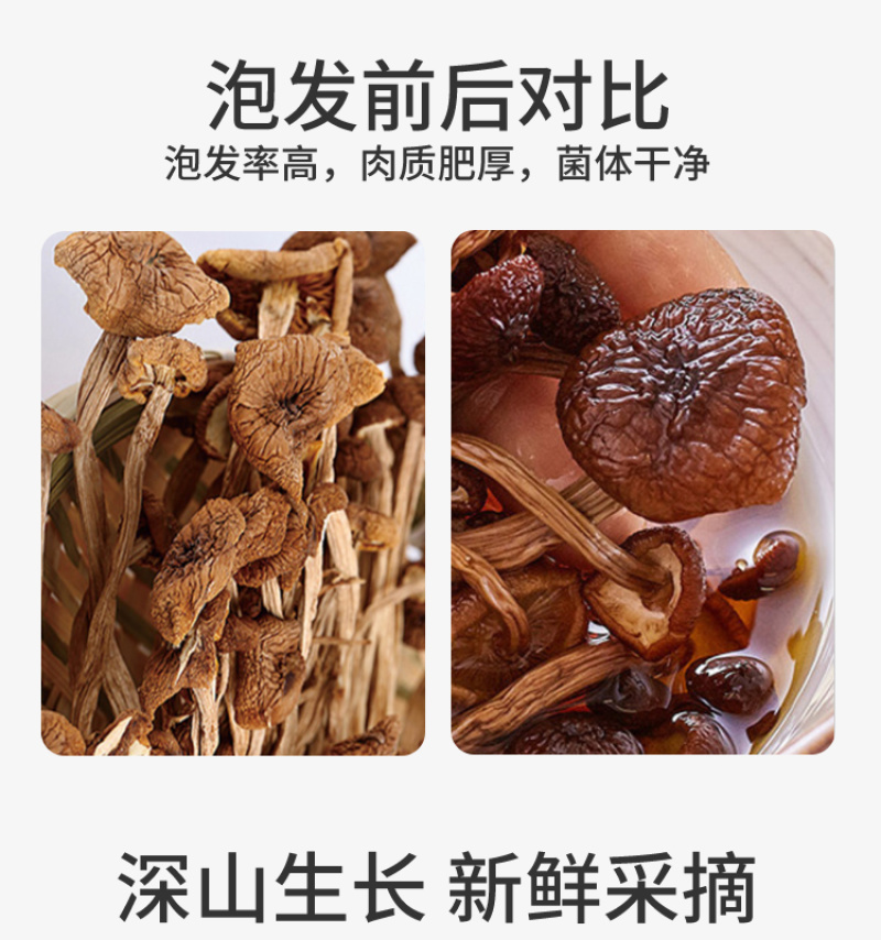 正宗云南茶树菇，茶树菇，精选干货，开伞剪根农家新菇批发代