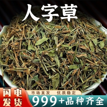 人字草中药材批发人字草穿破石组合安国中药材批发
