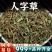 人字草中药材批发人字草穿破石组合安国中药材批发