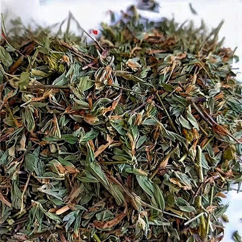 人字草中药材批发人字草穿破石组合安国中药材批发