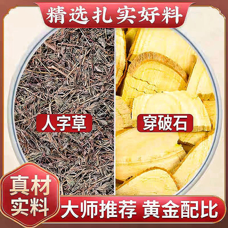 人字草中药材批发人字草穿破石组合安国中药材批发
