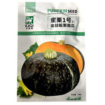蜜栗1号金丝板栗南瓜种子扁圆形甜面肉黄基地品种