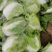 精品黄心白菜产地直发，一手货源，保质保量，全国直发
