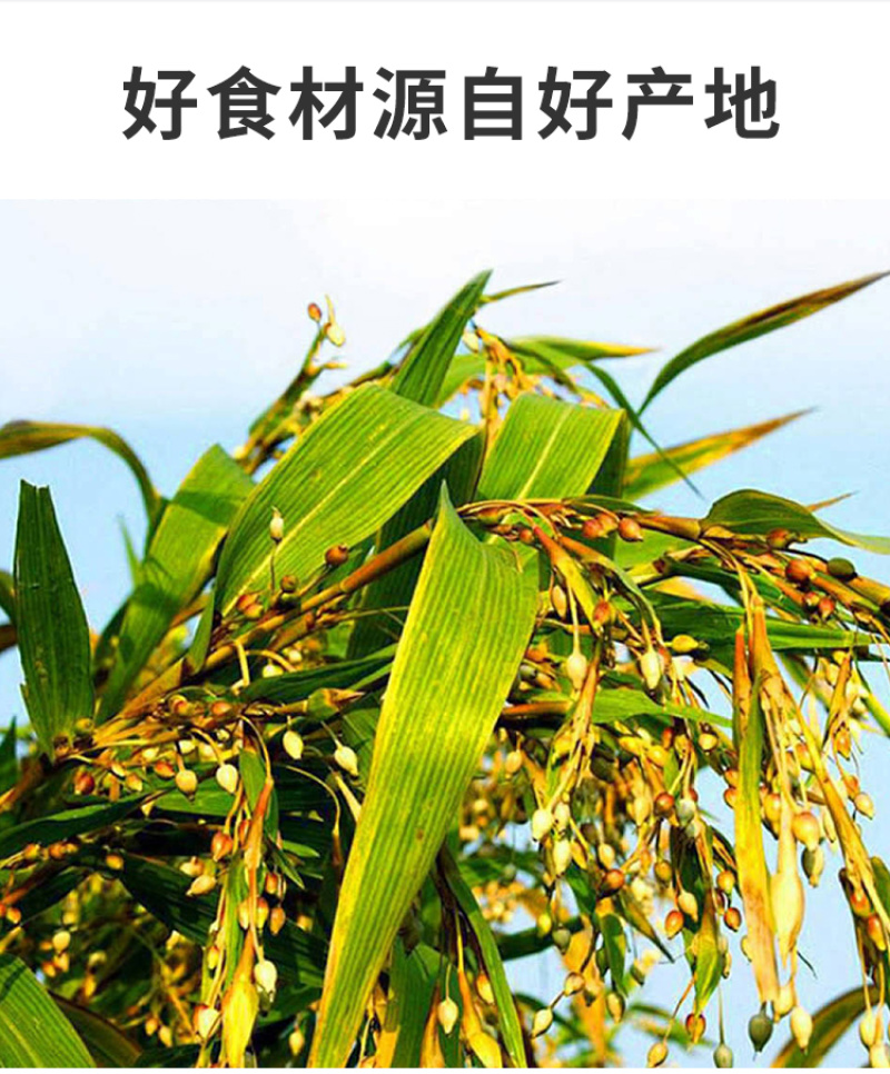 贵州薏米薏仁米苡仁新米农家碎米少锁鲜