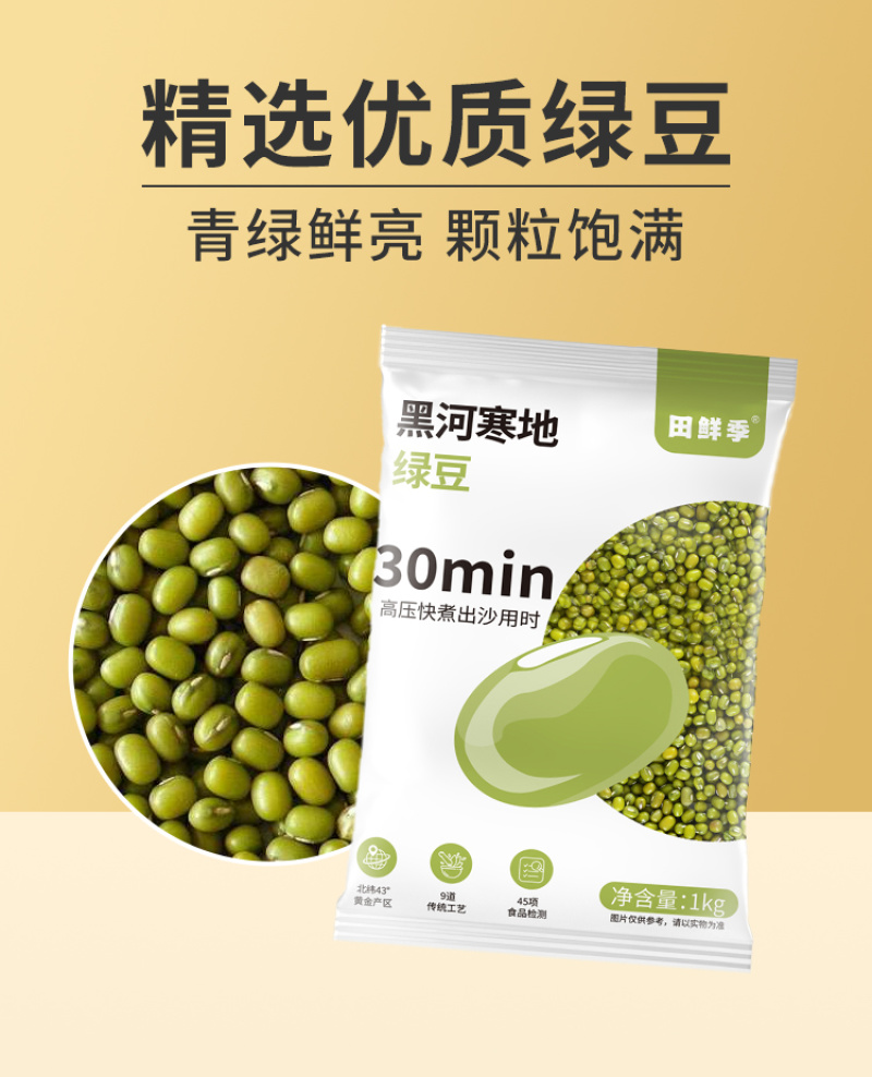 绿豆新季绿豆新鲜发豆芽皮薄出沙煲粥煲汤原料尝鲜