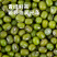 绿豆新季绿豆新鲜发豆芽皮薄出沙煲粥煲汤原料尝鲜