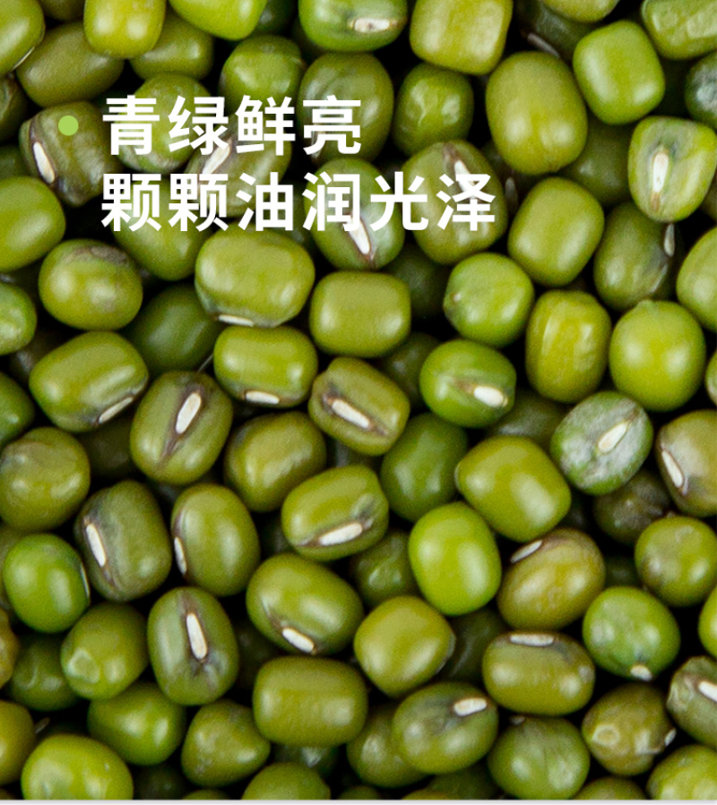 绿豆新季绿豆新鲜发豆芽皮薄出沙煲粥煲汤原料尝鲜
