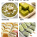 绿豆新季绿豆新鲜发豆芽皮薄出沙煲粥煲汤原料尝鲜