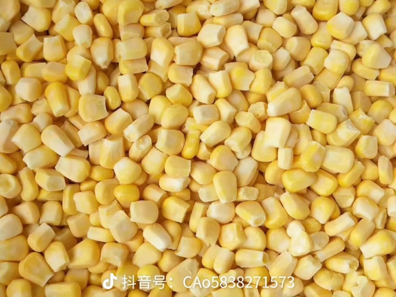 超甜玉米粒精品玉米粒支持视频看货需要联系