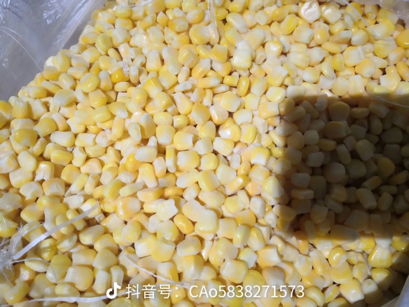 超甜玉米粒精品玉米粒支持视频看货需要联系