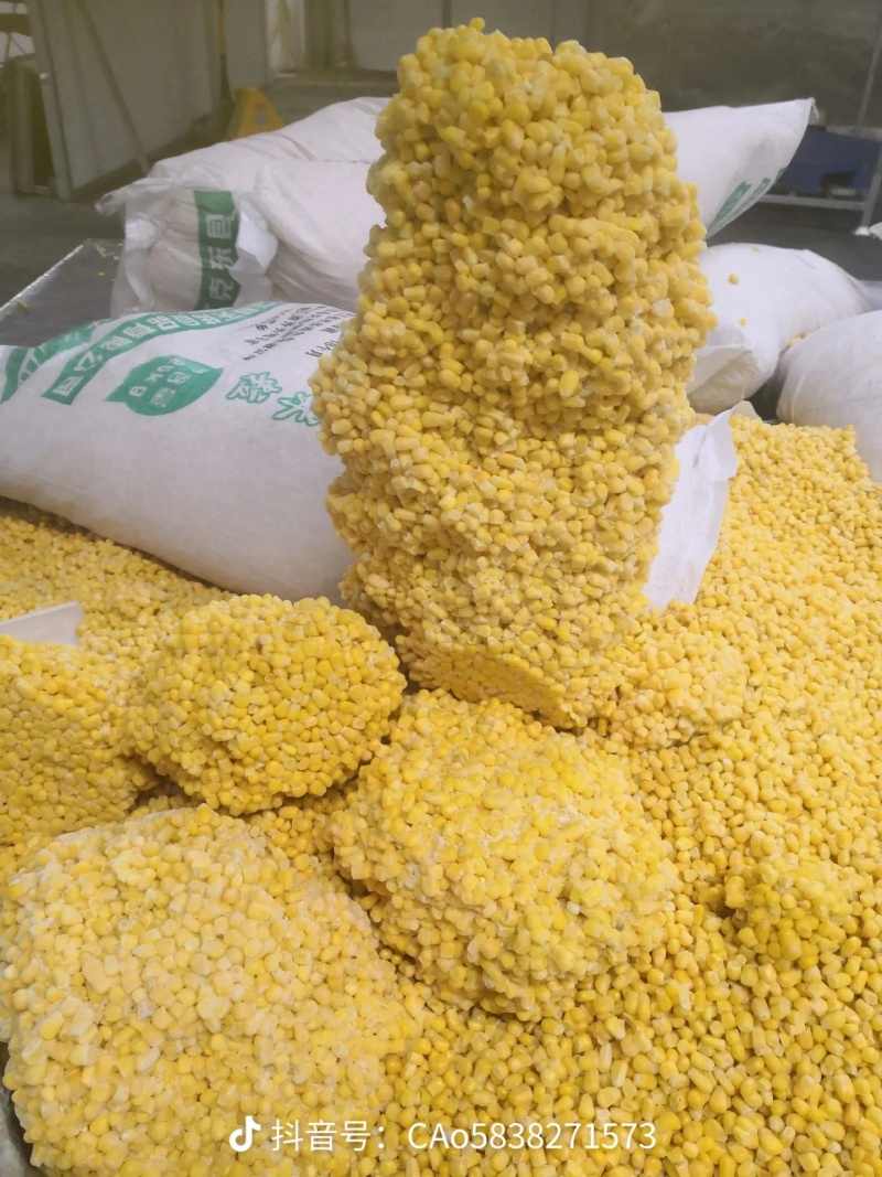 超甜玉米粒精品玉米粒支持视频看货需要联系