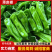 【热卖】薄皮椒精品辣椒产地直发保质保量对接全国