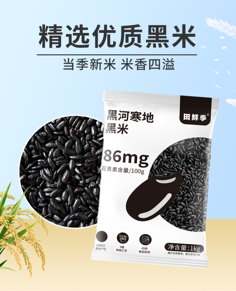 东北黑米紫米黑糯米黑珍珠新米农家新鲜粗粮五谷杂粮批发代发