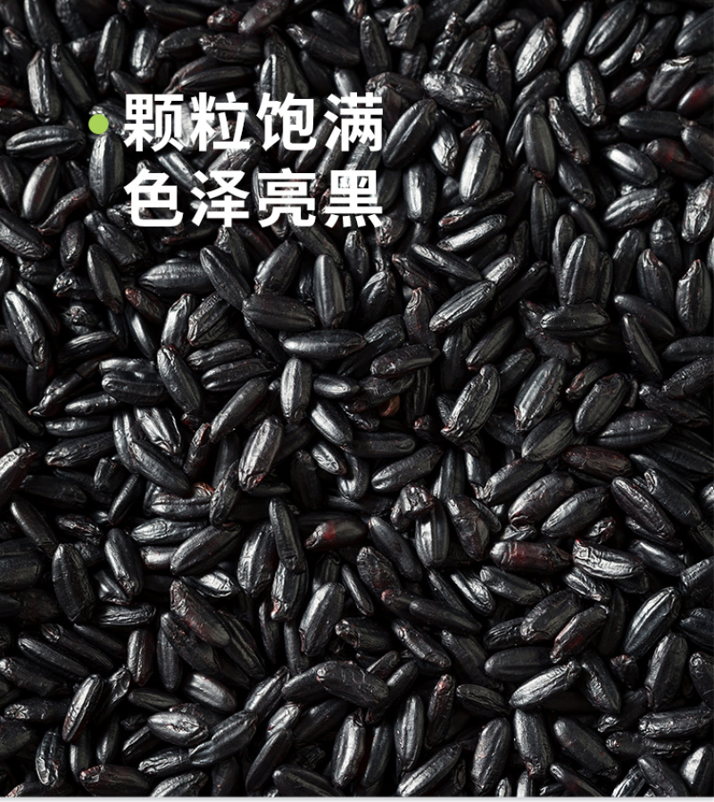 东北黑米紫米黑糯米黑珍珠新米农家新鲜粗粮五谷杂粮批发代发