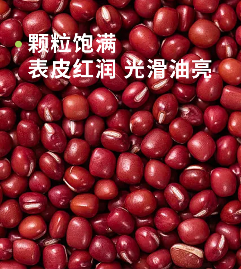 东北红豆红小豆小红豆大红豆农家新豆粗粮五谷杂粮批发代发定