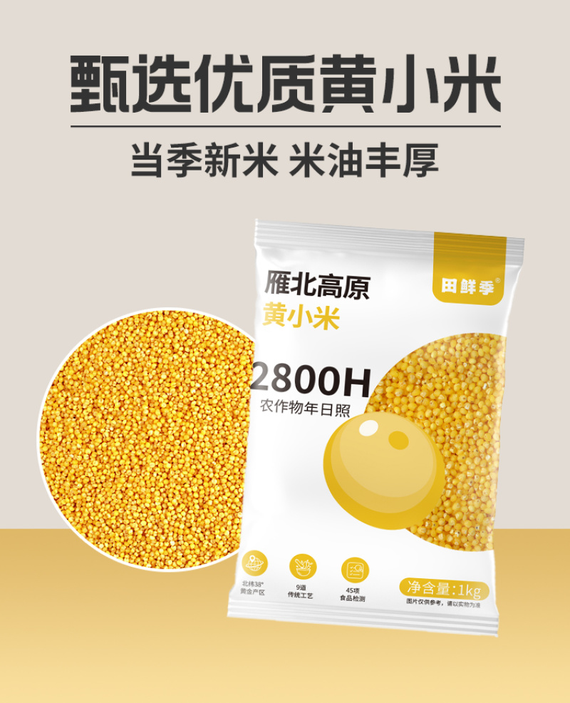 山西黄小米，小米，小黄米，新季小米粗粮五谷杂粮批发代发定