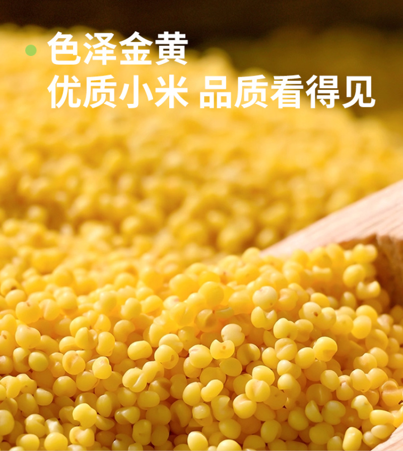 山西黄小米，小米，小黄米，新季小米粗粮五谷杂粮批发代发定