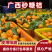 广西本地砂糖橘量大价优/产地直发/可视频看货对接全国商超