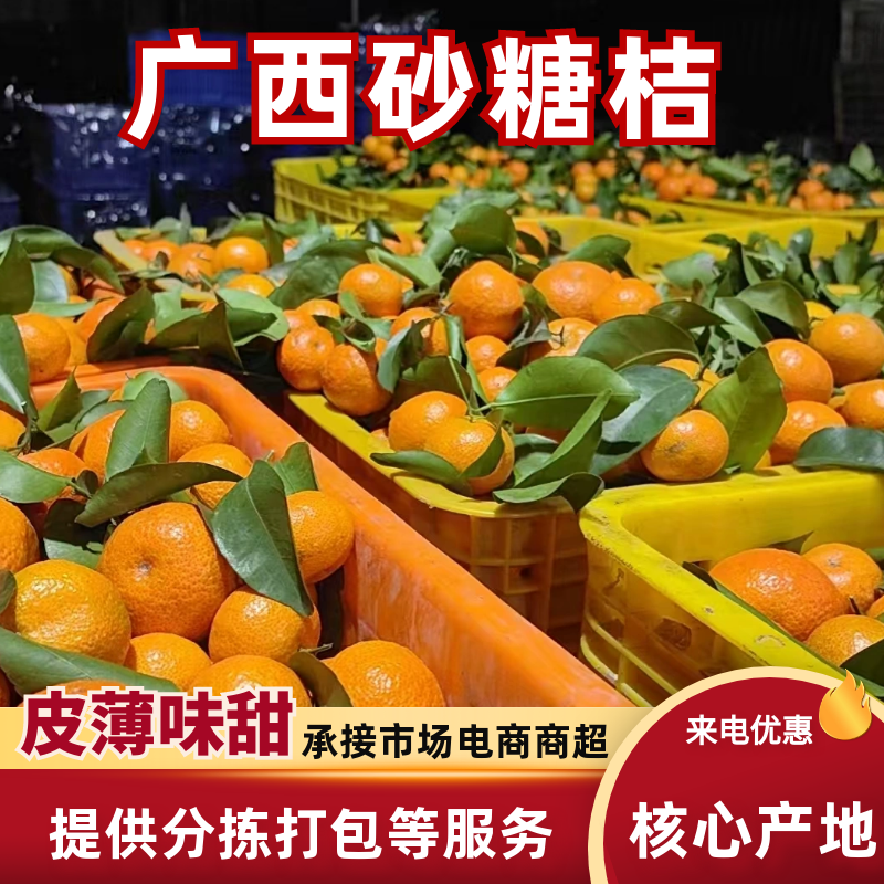 广西本地砂糖橘量大价优/产地直发/可视频看货对接全国商超