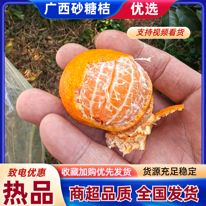 广西精品砂糖桔量大价优/产地直发/可视频看货对接全国商超