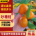 广西精品/砂糖橘/大量上市/皮薄汁多/量大价优对接全国
