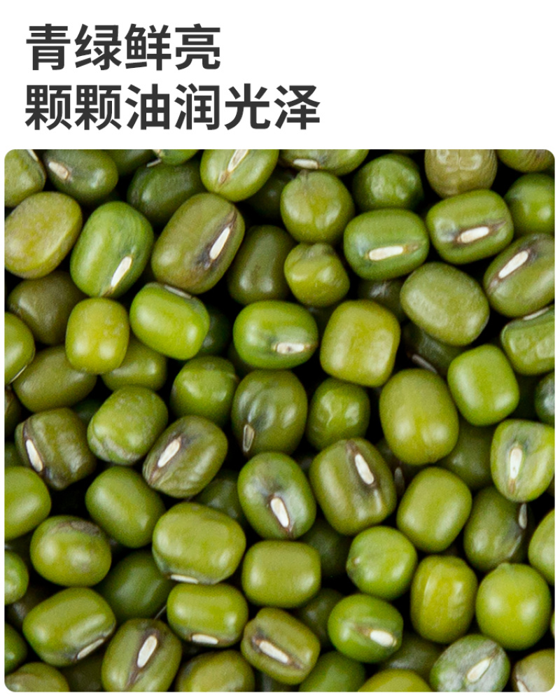 有机绿豆，东北绿豆，绿豆新豆，真空粗粮五谷杂粮批发代发