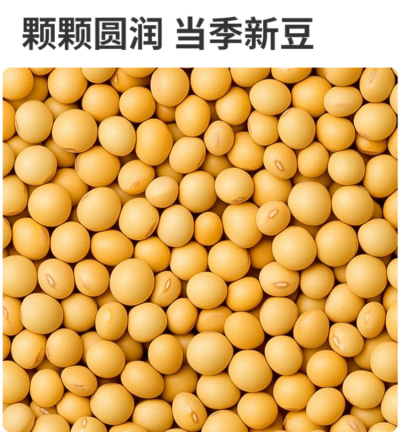 有机黄豆东北大豆新豆非转基因真空粗粮五谷杂粮定制非转基因