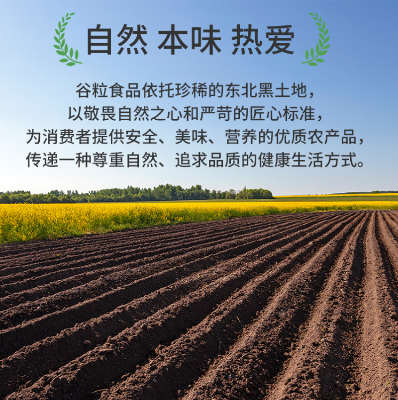 黄小米东北新米真空粗粮五谷杂粮批发代发