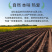 有机红豆东北红小豆大红豆新豆真空新鲜粗粮五谷杂粮批发代发