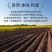 有机薏米贵州薏仁米小薏仁米新米真空粗粮五谷杂粮批发代发定