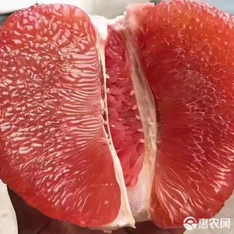 平和特产正宗琯溪三红蜜柚源头产地直供