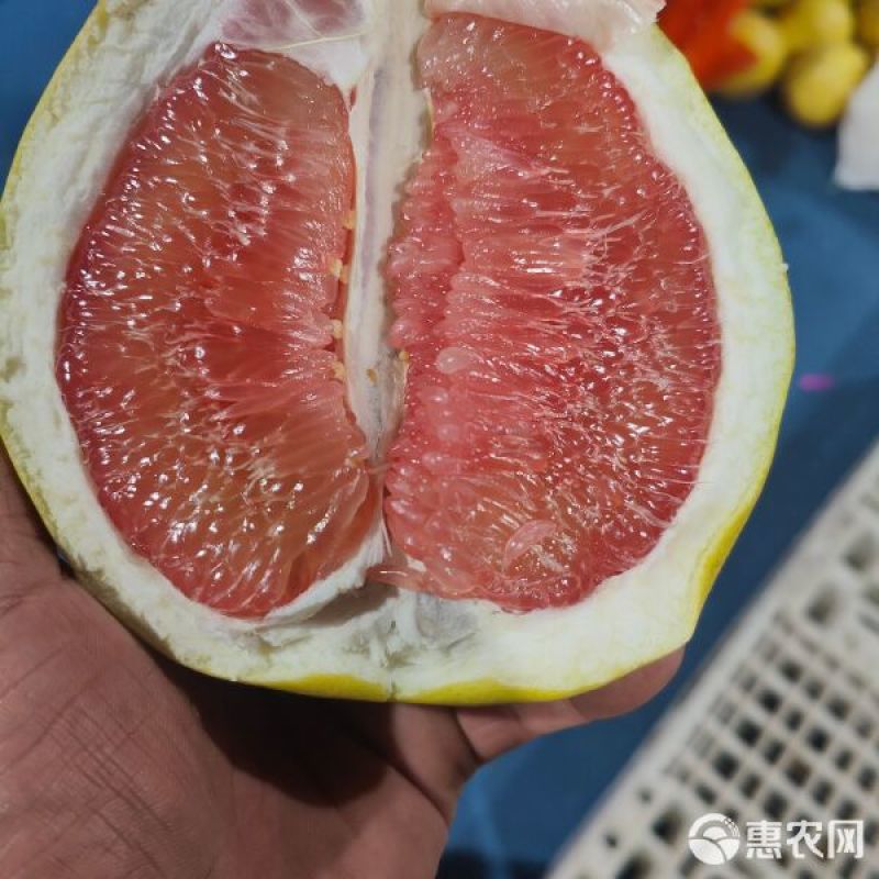 平和特产正宗琯溪三红蜜柚源头产地直供