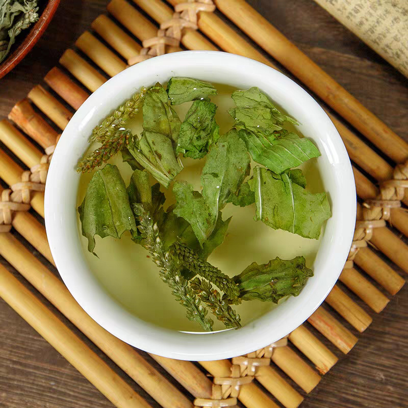 车前草中药材批发新干货正品非野生车前草干中草药泡水喝茶